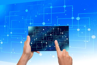 爱游戏官网网页版入口-中国篮球教练员执教能力提升路径研究，中国篮球教练员岗位培训a级教程书籍