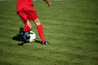 爱游戏体育电竞娱乐-中国篮球职业联赛俱乐部青训体系建设及实践探索，职业篮球青年队