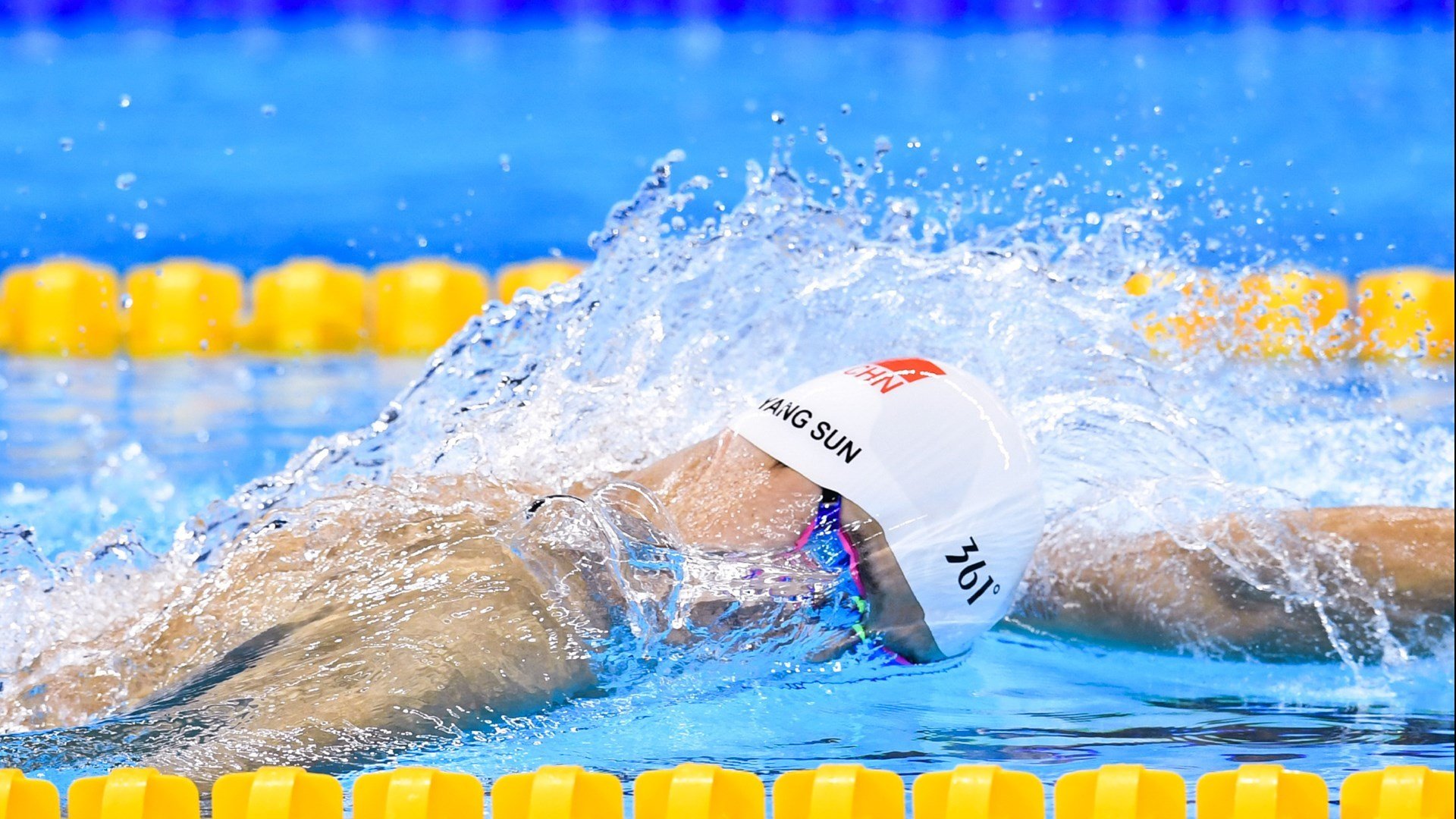 爱游戏手机版-“绿色生态场馆+智能管理”成为行业新标配，行业基础更牢固，绿色生态长廊什么意思